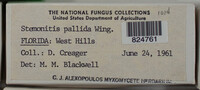Image Associated With the Occurence